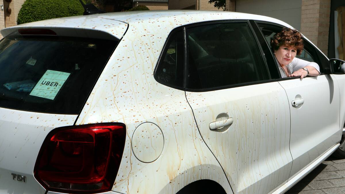 Rosemary Paterson shows the damage to her car, which was left covered in coffee on Tuesday night. Picture: Sylvia Liber 