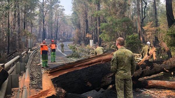 Defence and civilian authorities clear a tree blocking a road near Mallacoota in January. Aus. Dept Defence
