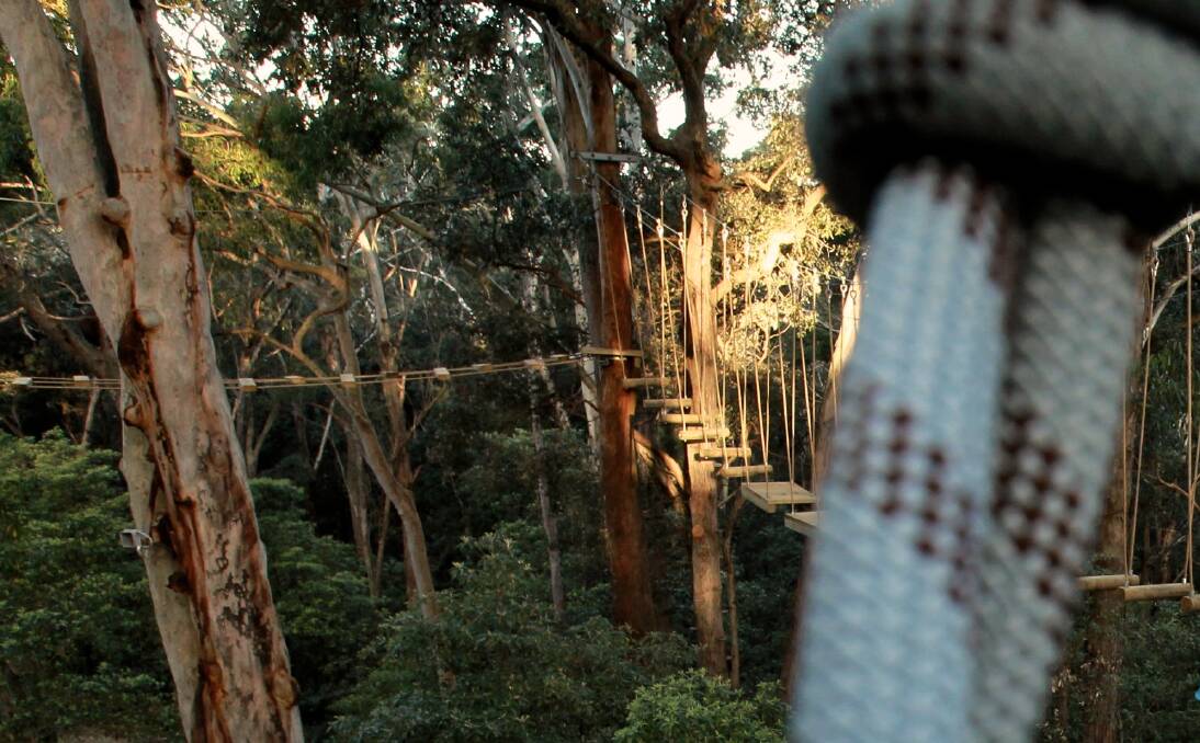 A new management plan for Mount Keira Summit Park would allow a high ropes course. File image.