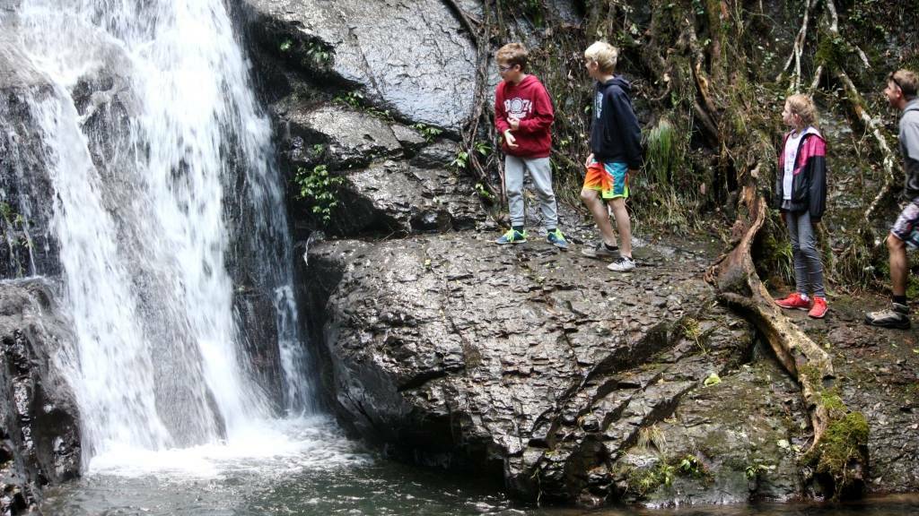 Find a bushwalk within 10km of the Illawarra's suburbs