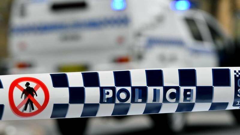 Stabbed cop was Balgownie woman's second victim: court