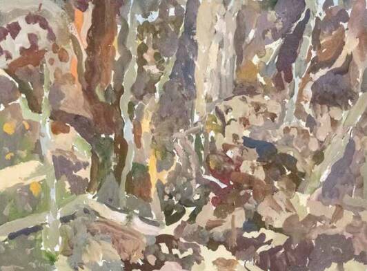  Rain Forest Mount Kembla by Elisabeth Cummings. 