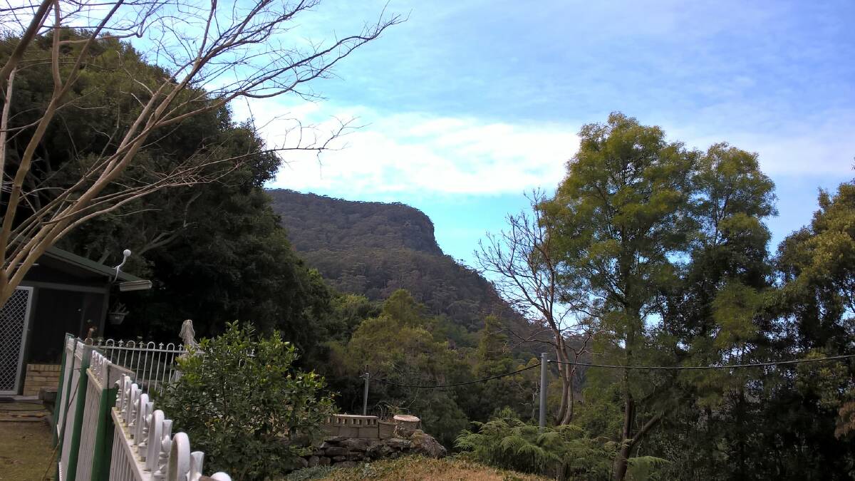 The view of Mount Keira Summit from Leanne's backyard inside the scout camp. Photo: supplied