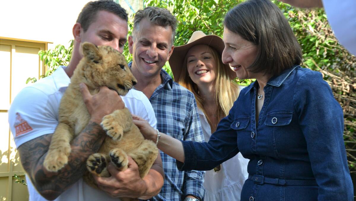 Zookeeper Chad Staples holds Phoenix the lion cub so NSW Premier Gladys Berejiklian can touch his fur, as Andrew and Jennifer Constance look on.