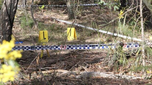 The scene in the Belanglo State Forest where Karlie Pearce-Stevenson's bones were found. Photo: SMH