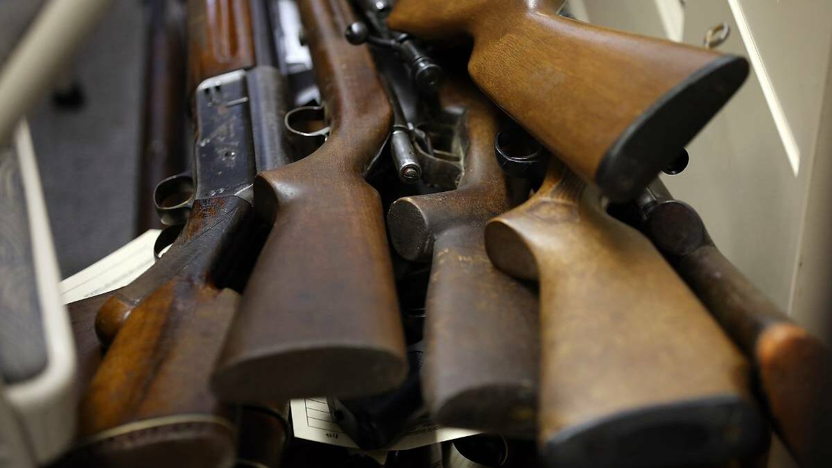 Revealed: the Illawarra suburbs with the most guns