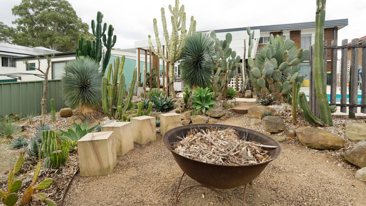 Grahame Rowe's "mid-century meets Palm Springs" garden is low maintenance and water-wise he says. Picture by Anna Warr.