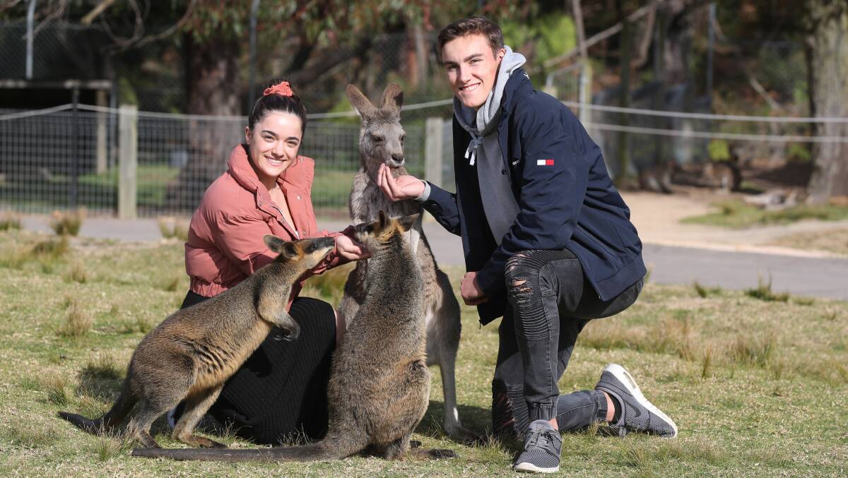 Laura Bailey and Ben Butler at Symbio Wildlife Park which has launched an online redemption system where people can go online and redeem their Discover vouchers for a $25 Symbio gift pass. Picture: Robert Peet.Ryan