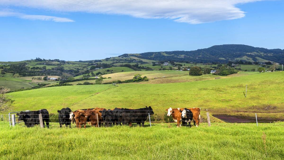 Sydney buyer snaps up Kiama farmland for more than $4 million