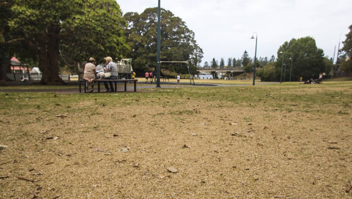 Hindmarsh Park is already looking dry. Photo: Anna Warr 