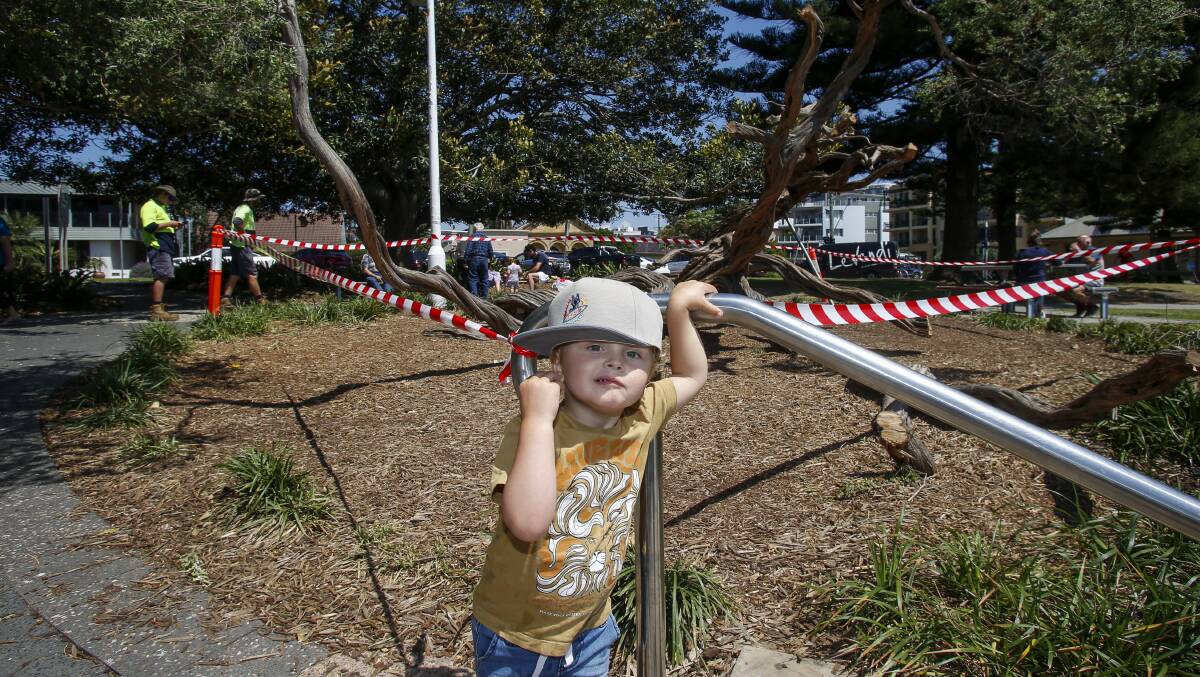 Two-year-old Lennox Connery is one of many Wollongong children who will no longer be able to climb the old trees' branches. Picture: Anna Warr.