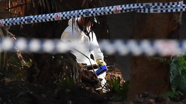 A NSW forensic services officer sifts through soil at the crime scene where Matthew Leveson's remains were found.  Photo: Kate Geraghty
