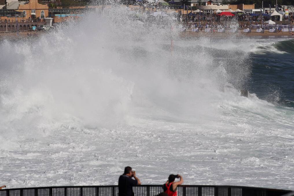 Monstrous waves pummel Illawarra coast as cunjevoi invades beaches