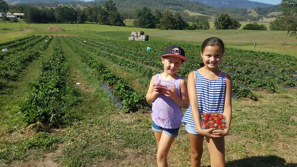 27 things to do in the Illawarra these school holidays (for under $5)