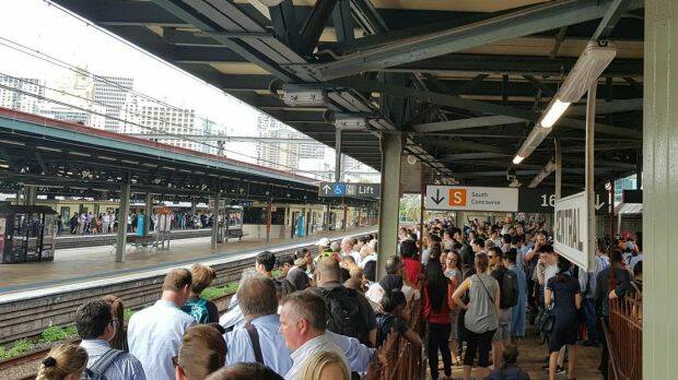 Sydney's Central station is packed with commuters during peak hour, as a staff shortage causes major delays.? Photo: SEVEN NEWS
