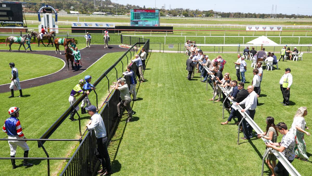 Punters looking at horses in the mounting yard before race 3.
