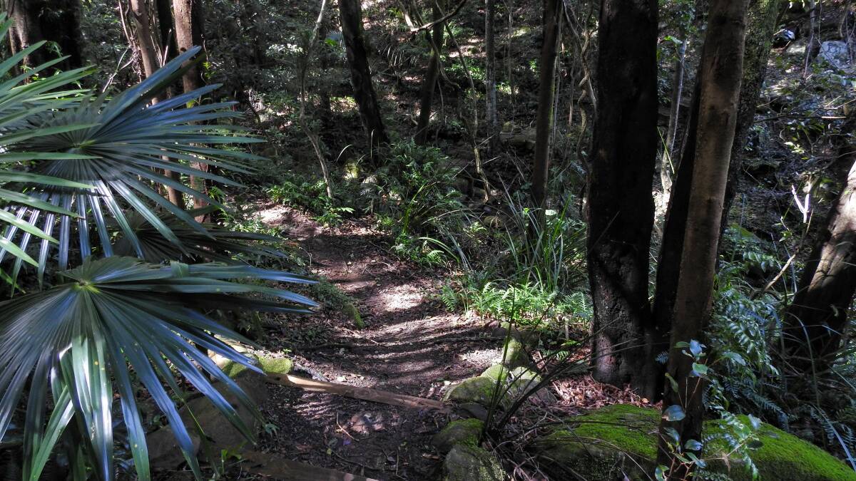 Local tricks to the Mt Keira Ring Track you need to know about