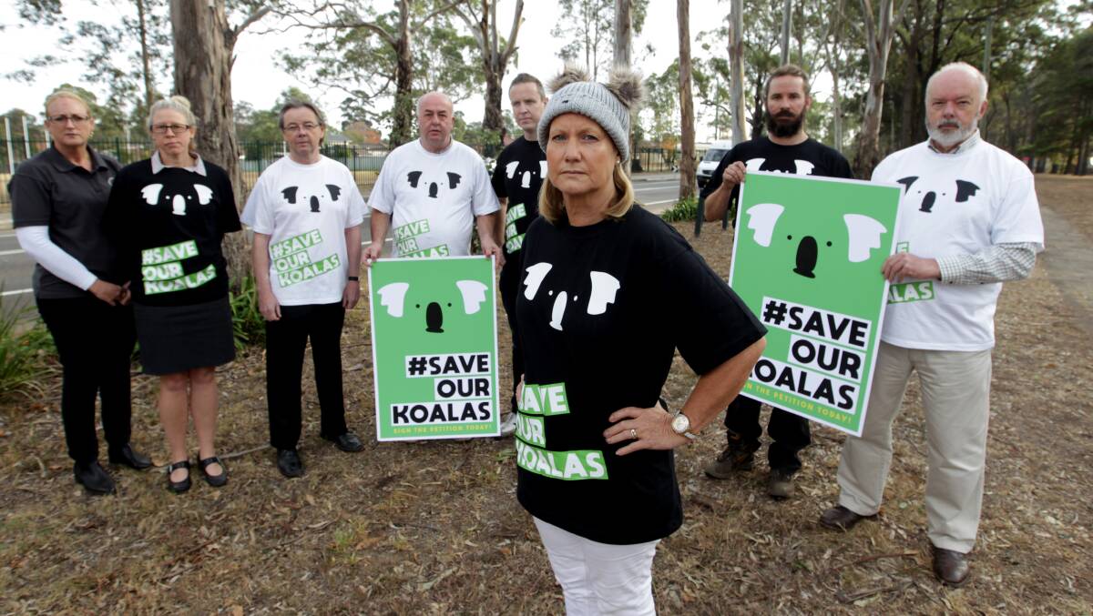 Mayor Judith Hannan, councillors and council staff launched a campaign to save the Wollondilly koala population. Pictures: Simon Bennett