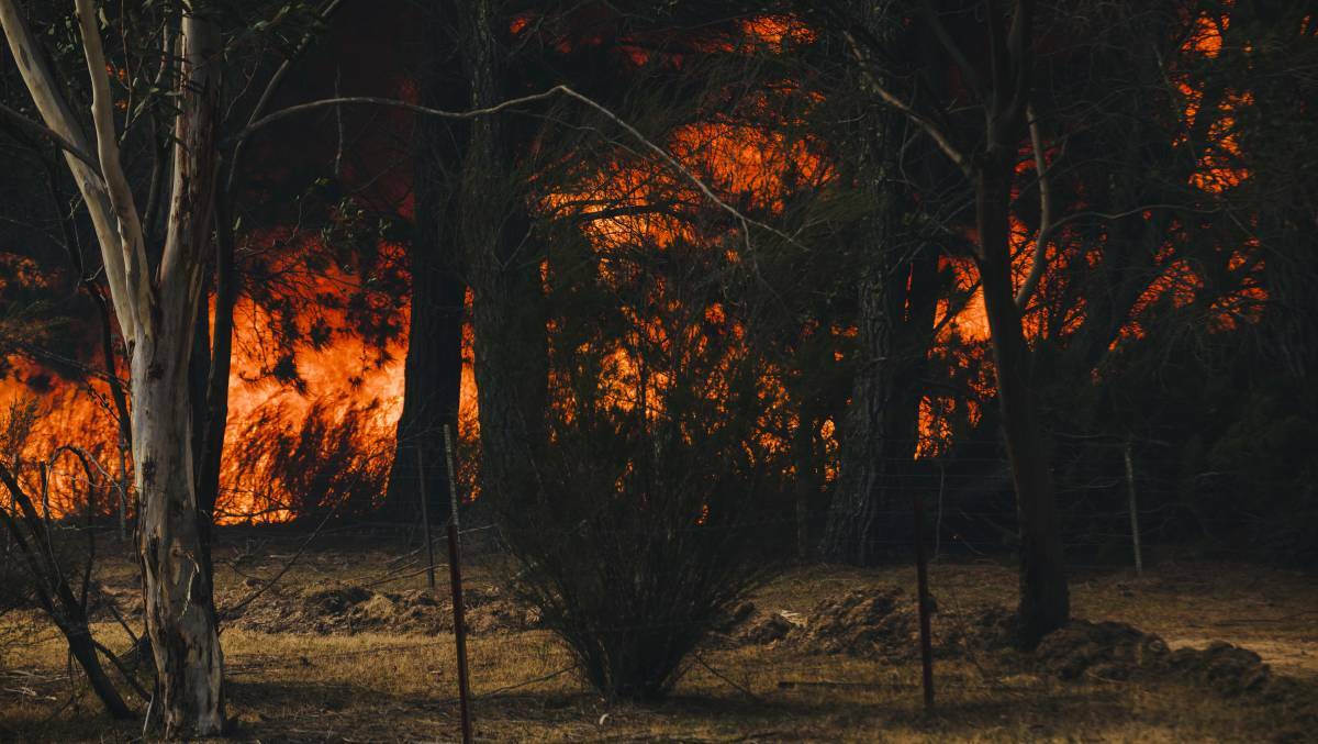 A bushfire near Jinglemoney Road, Braidwood on Sunday. Picture: Jamila Toderas