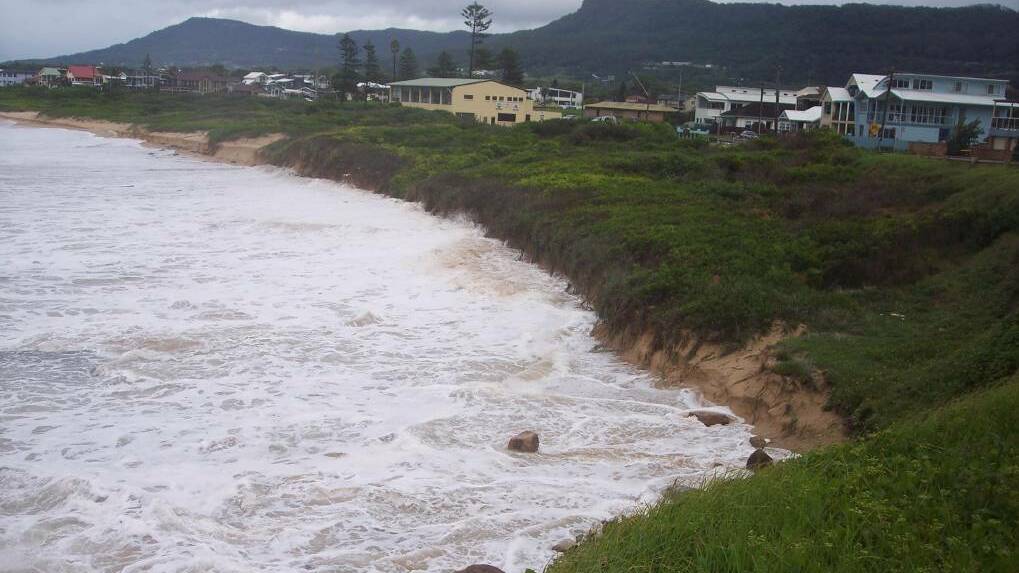 Overgrown: Vegetation at Woonona Beach in large swell prior to beach restoration work. Picture: Beach Care Illawarra.