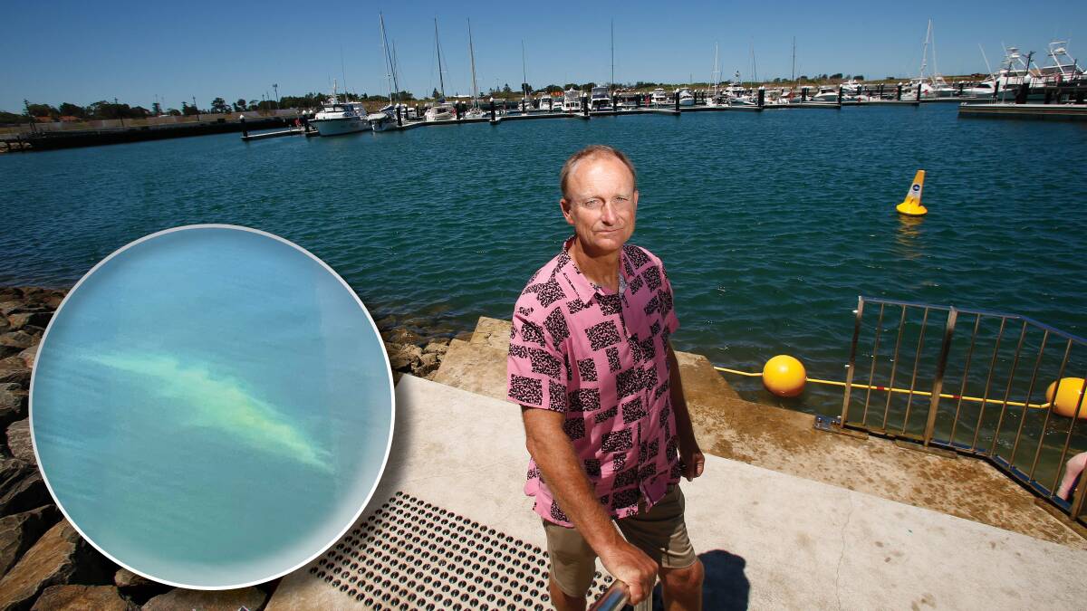 New Shellharbour mayor Chris Homer at the Shell Cove marina, where a dead shark was recently discovered. Main photo: Anna Warr