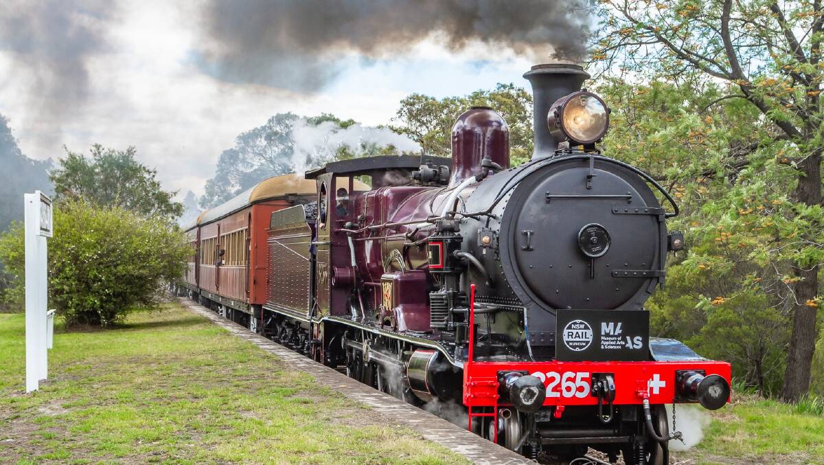 5 Illawarra vintage train rides not to miss this spring
