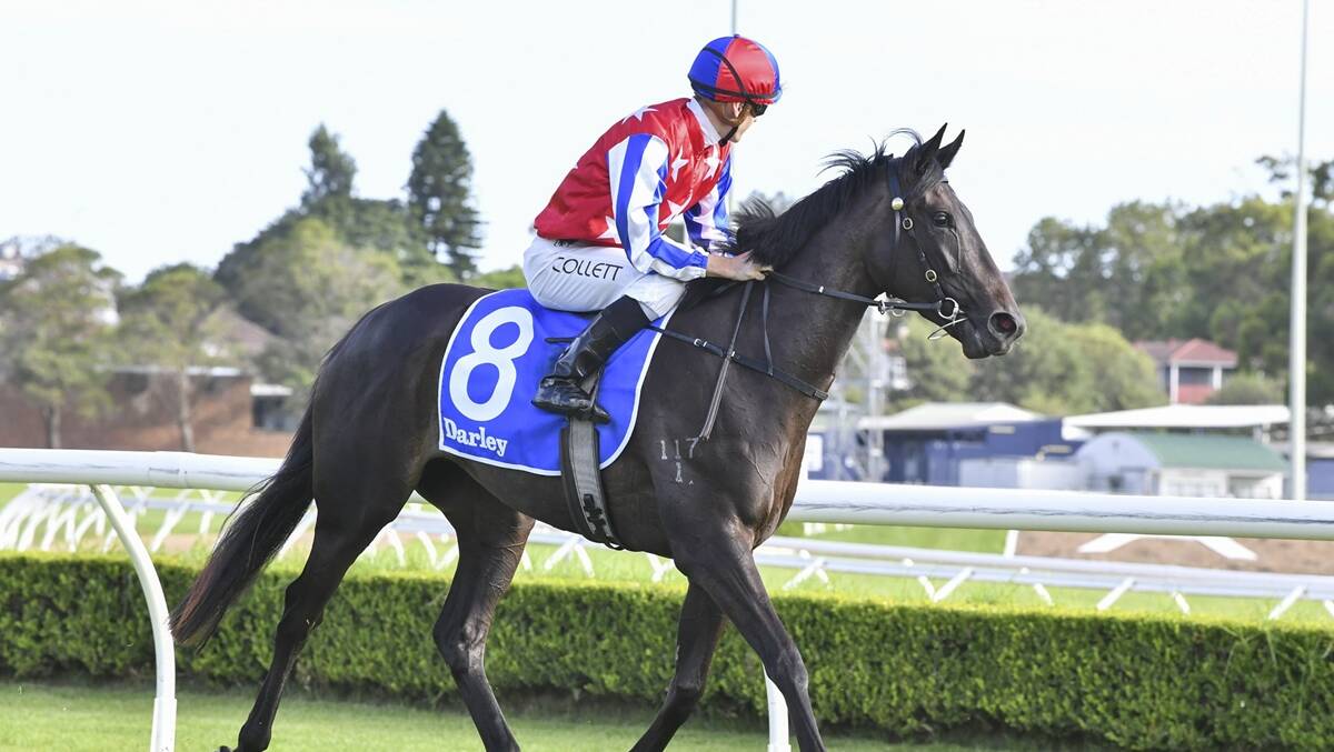 Rag Queen will go for a spell after the $2 million Inglis Millennium at Randwick on Saturday. Picture by Bradley Photos