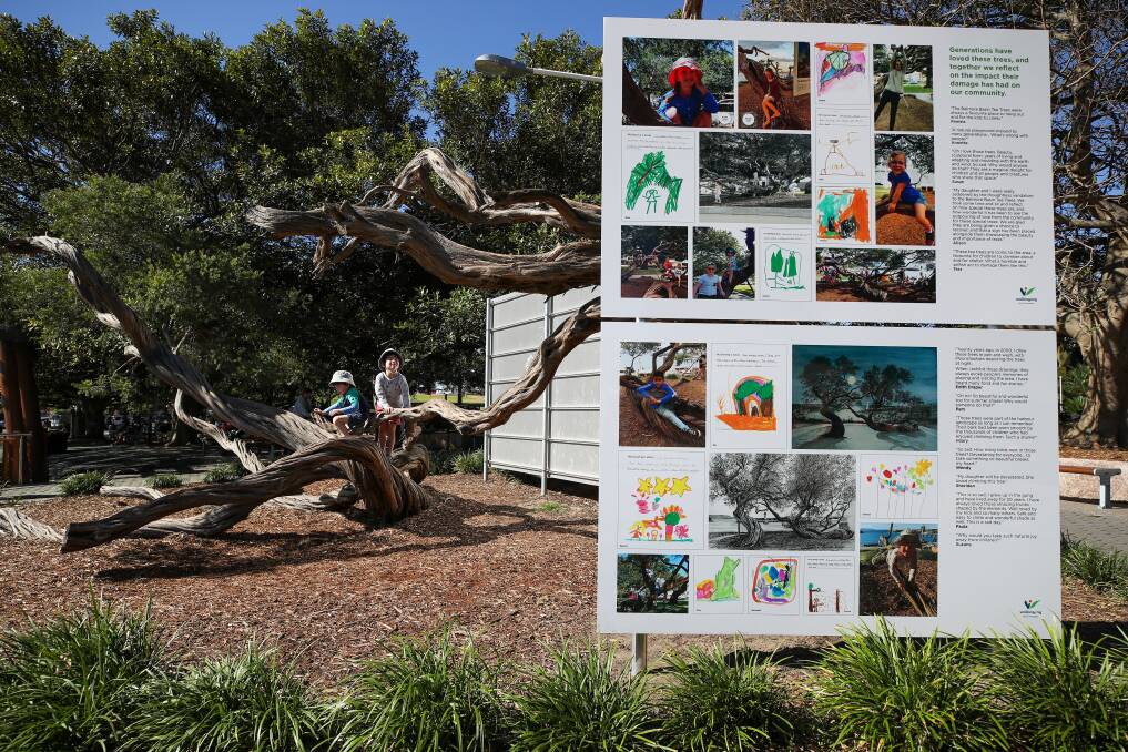 PRECIOUS: A mural shows the significance of the Belmore Basin tea trees to the community after they were senselessly vandalised. Picture: Adam McLean.