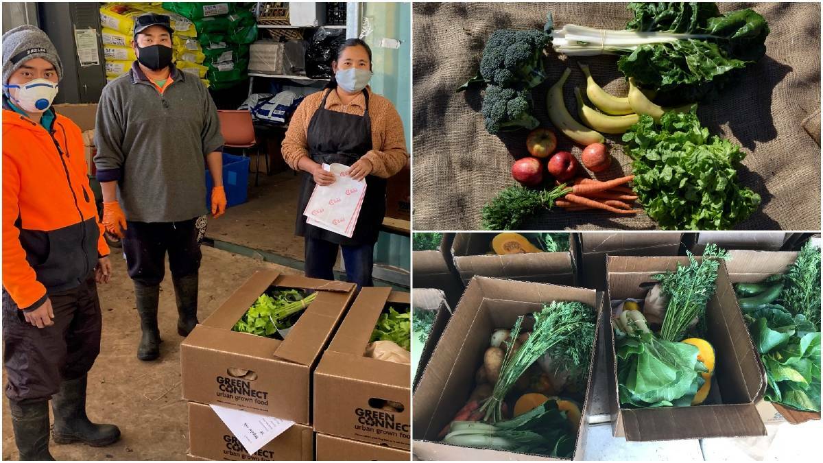 REACH OUT: Some of the fruit and veggie boxes available for local families from Green Connect. Image supplied.