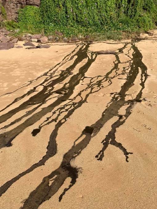 That mystery spill at Bombo Beach? Sydney Water says it was mud
