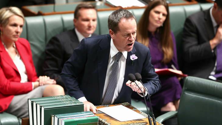 Stepping up the pressure on the Abbott government: Opposition Leader Bill Shorten. Photo: Alex Ellinghausen