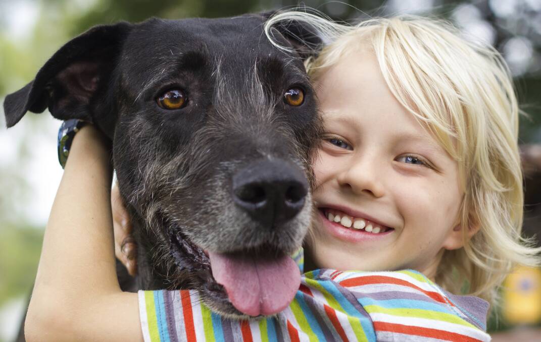 Having a pet dog can help develop a child's emotional intelligence in a number of surprising ways.