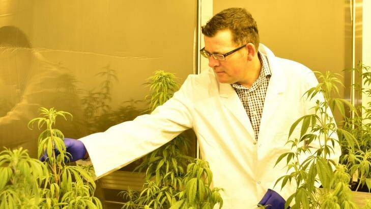 Premier Daniel Andrews inspects a medical cannabis facility. Photo: Supplied