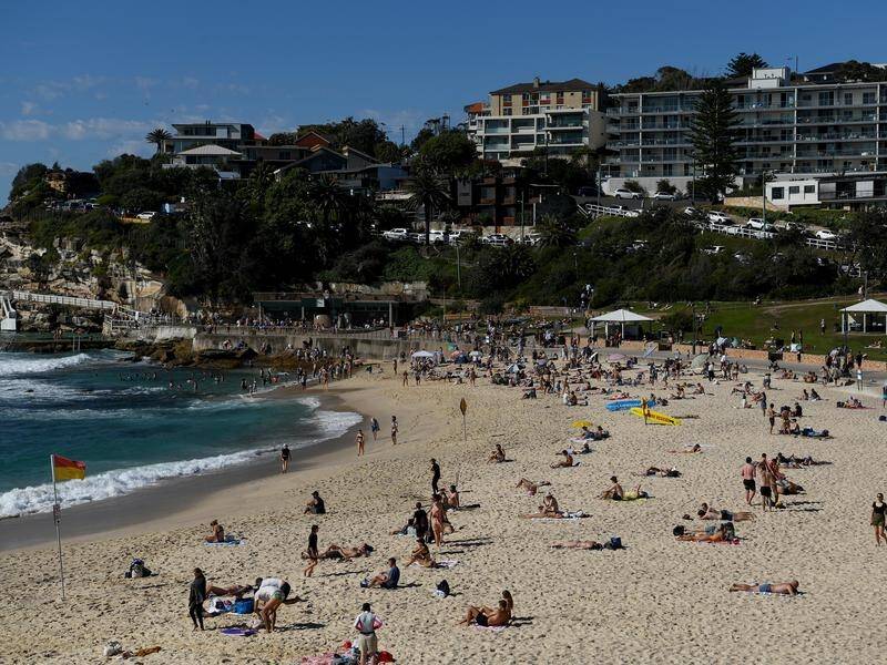 Millions of microplastic fragments were found in a survey of more than 300 Australian beaches.