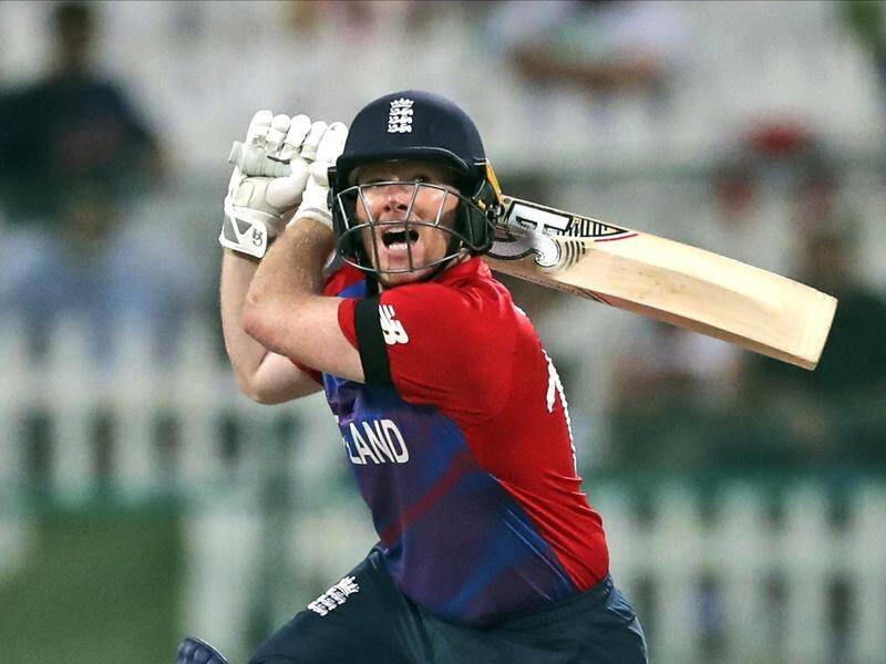 Eoin Morgan (pic) has been given a vote of confidence from England's white-ball coach Matthew Mott.