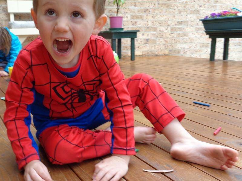 William Tyrrell vanished while wearing his beloved Spiderman costume in September 2014.