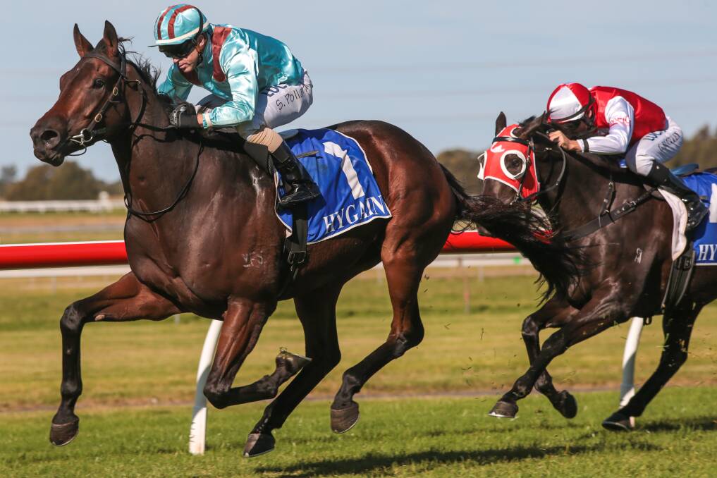 Scott Pollard leads home powerfully on Man of Colours at Kembla Grange on Saturday. Picture: ADAM McLEAN