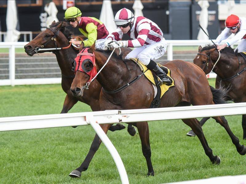 Vainstream has won the VOBIS Gold Sprint at Caulfield as favourite Pippe disappointed.