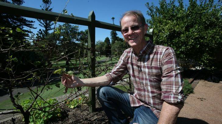 Brett Summerell, Director of Science and Conservation at the Royal Botanic Gardens in Sydney with a coffee growing grape vine. Photo: Tony Walters