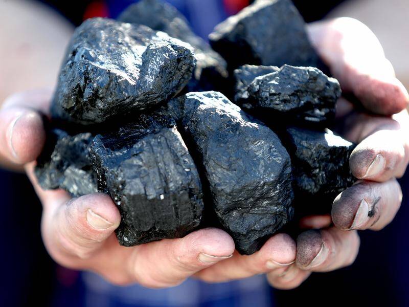 Senator Matt Canavan wants a new Queensland coal mine as net zero climate emissions talks continue.