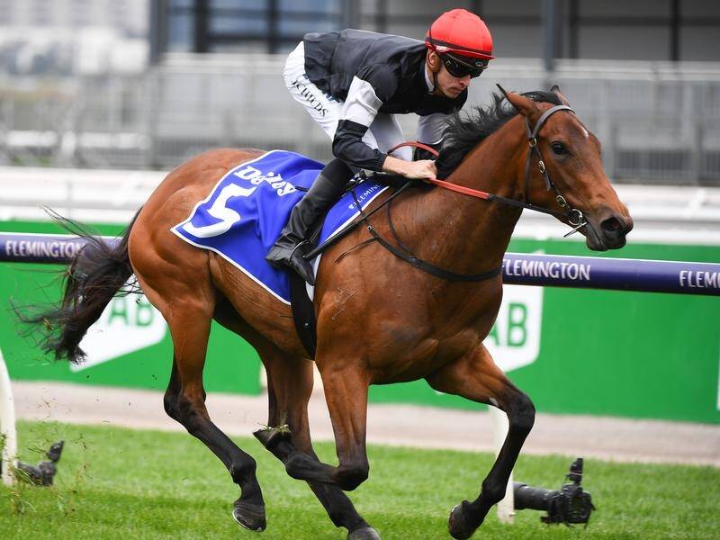 Race experience pay dividends for Mildred, winner of the Maribyrnong Trial Stakes at Flemington.