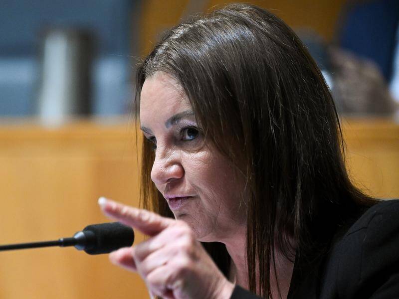 Senator Jacqui Lambie referred to the state of two US-built ships forced out of action with rust. (Lukas Coch/AAP PHOTOS)