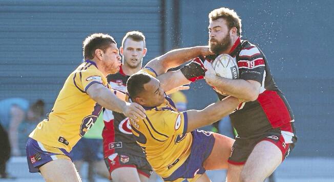Hard to handle: Collegians' Jarrod Hickey tests out Dapto's defence on Sunday. Picture: ADAM McLEAN