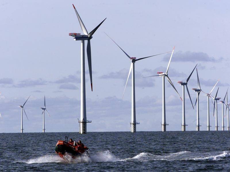 Wind turbines in the North Sea - a consortium wants to install wind power off the coast of Victoria. (AP PHOTO)