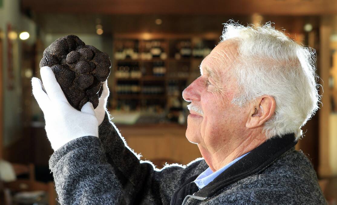 Truffle farmer Ted Smith has grown Australia's largest truffle - which at 1.172 kilograms is worth over $2000 and is only 128 grams off the world record. Picture: ANDY ZAKELI