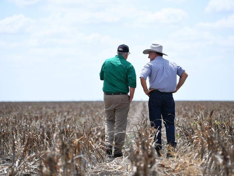Federal politicians are visiting drought-affected towns.