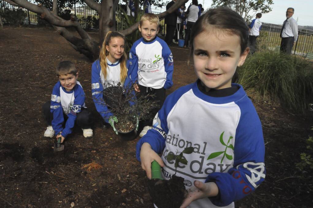 Shellharbour Anglican College students get their hands dirty ...