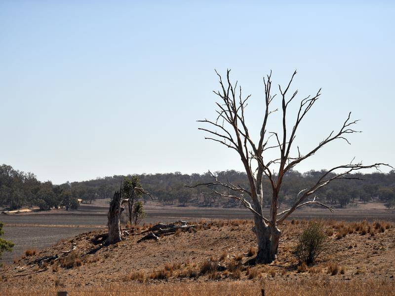 Some 22 gigalitres of water was flushed from a dam as NSW suffers an unprecedented drought.
