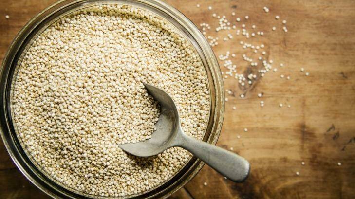 Quinoa seeds contains all nine essential amino acids.