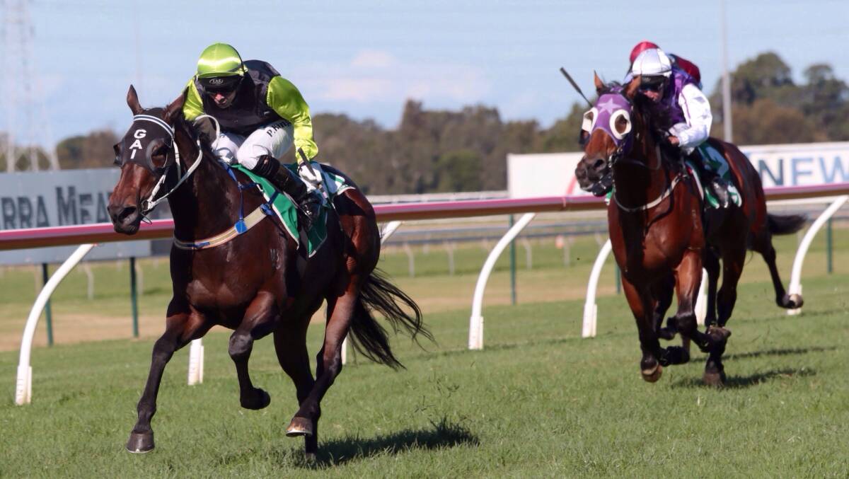 Paul King drives Mumbai Rock to the wire in race one at Kembla Grange on Saturday.Picture: Adam McLean